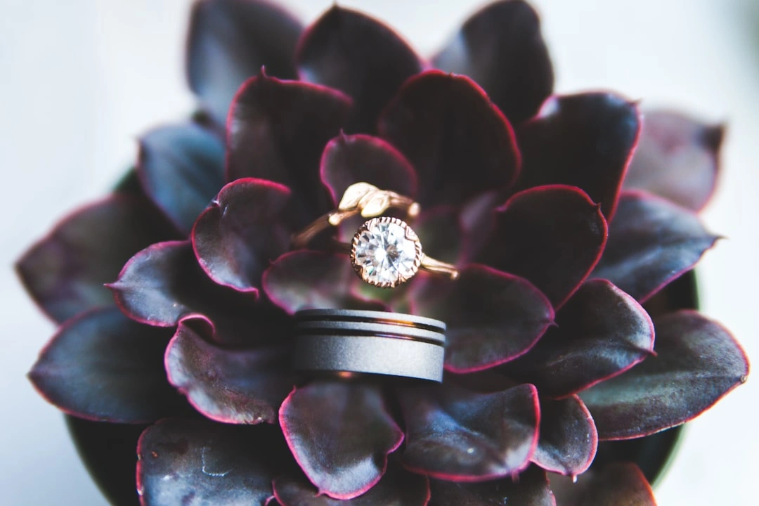 Zenith Jewels