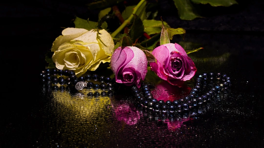 Sri Sri Ma Manasa Jewellers