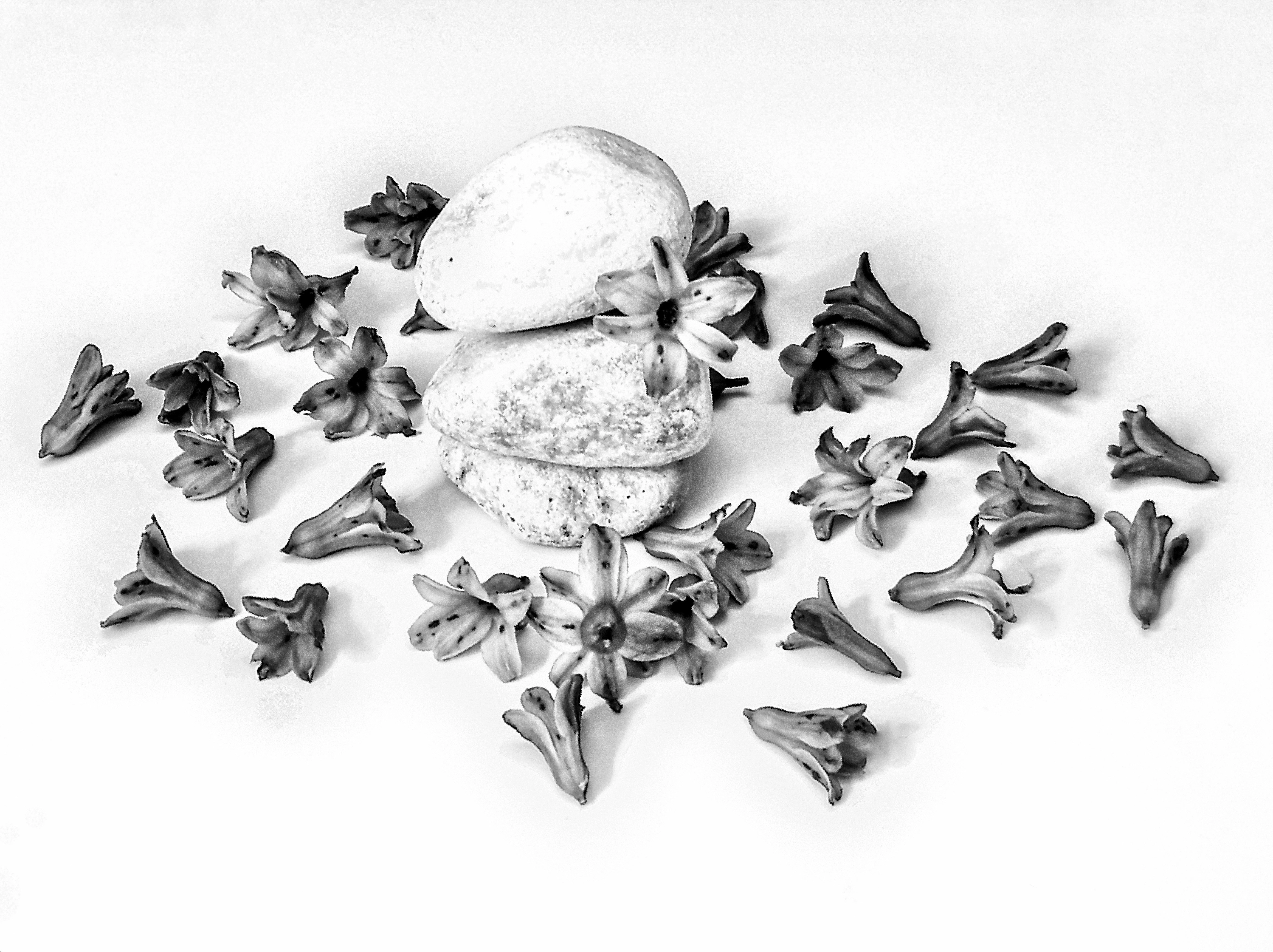 Babu Jewellers - Jeweller in Krishnagiri